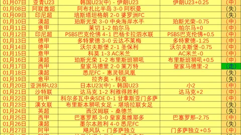 全力以赴仍待花开，火箭新星潜能未燃，揭秘后场明珠的璀璨之路